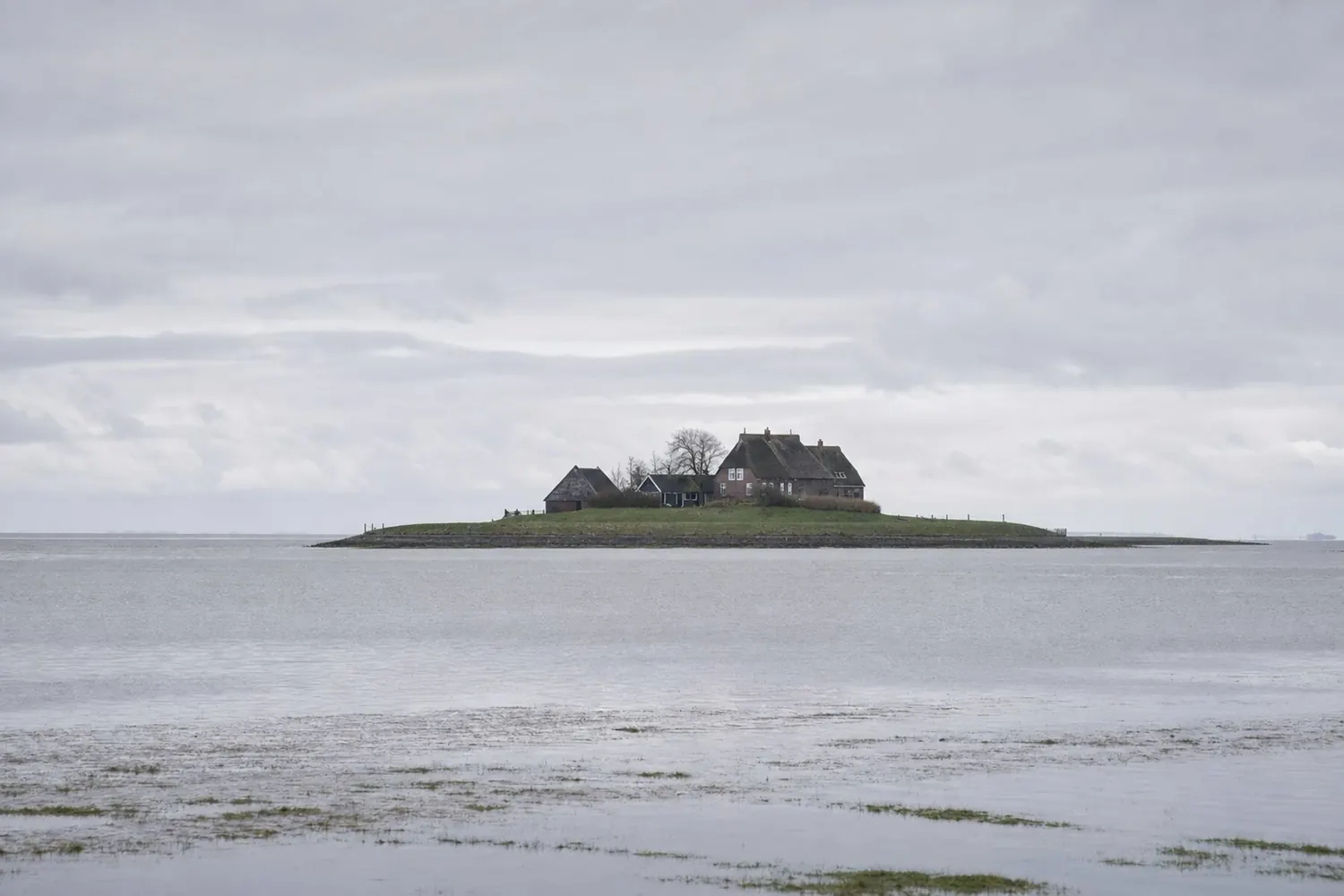 Eine Hallig bei Hochwasser — die Häuser stehen auf der Warft