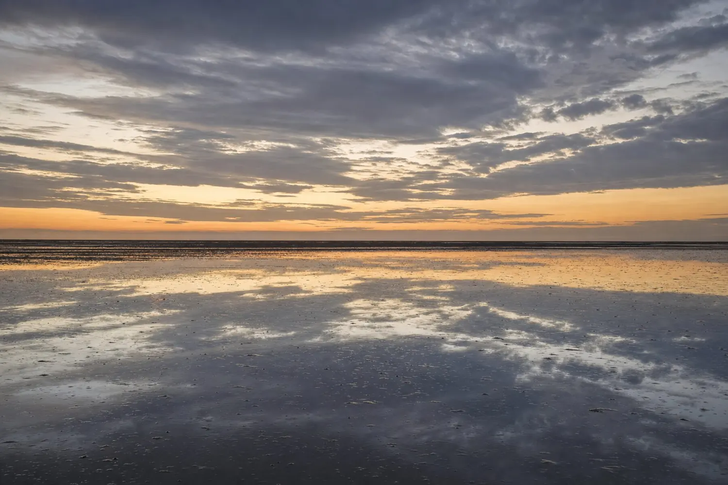 Abendlicht spiegelt sich in den Wasserflächen des Watts