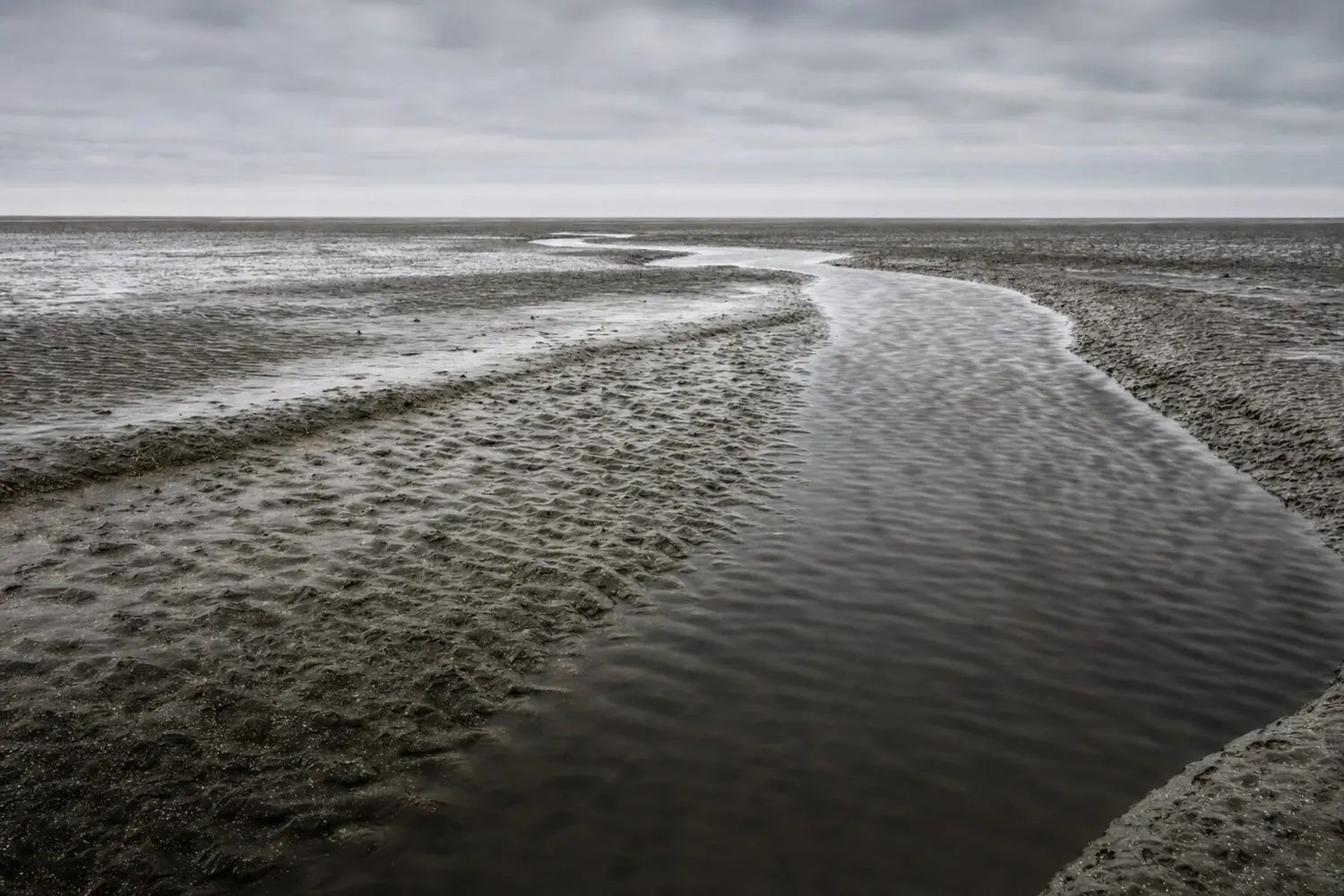Ein Priel zieht sich bei Niedrigwasser durch das Watt