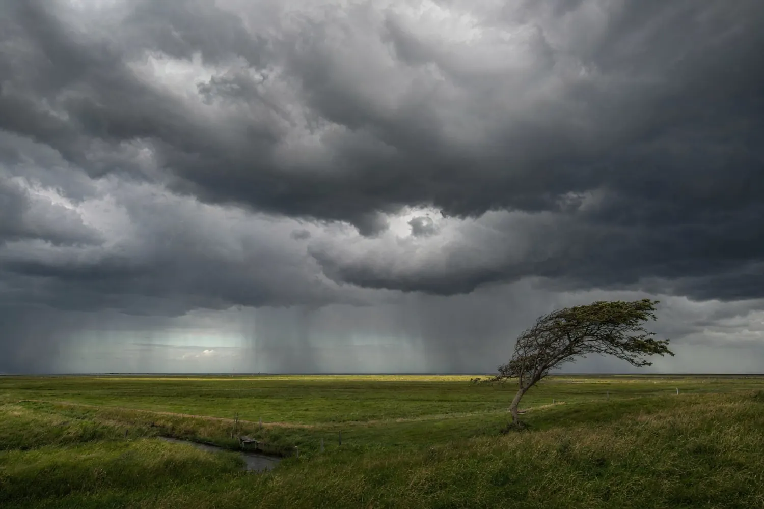 Eine Regenfront zieht über die flache Marsch